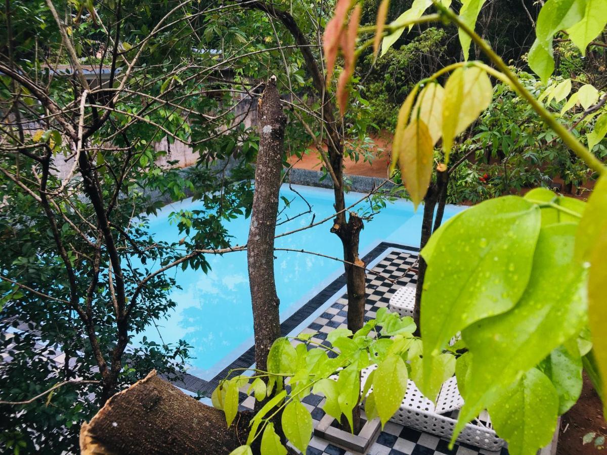 Alikele Hotel & Resort Sigiriya Buitenkant foto